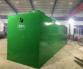 WSZ-0.3型500工厂生活污水处理设备生产厂家报价及智能制造与伺服电机应用解析